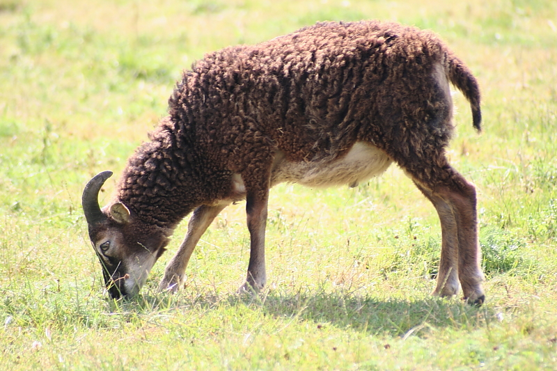 Killikus&reg; Fotographie